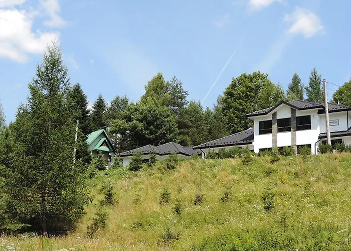 Honey - Na 12 Osob Kamianna